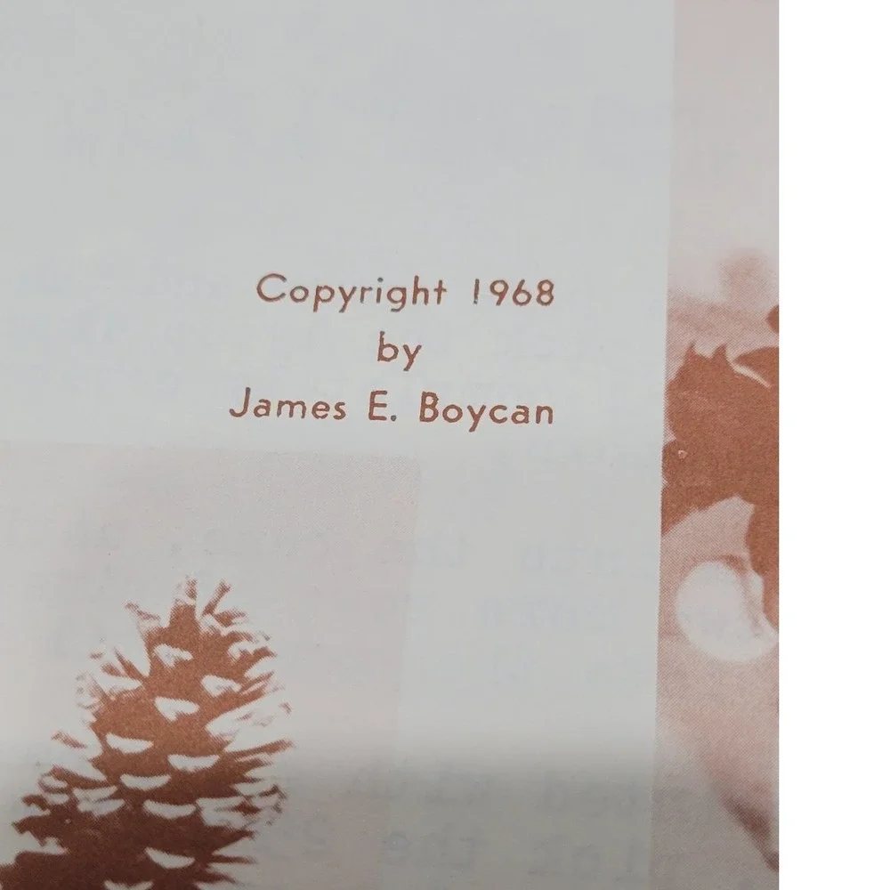 Nature Christmas decor Pine Cone Projects Craft Book DIY Vintage 1968